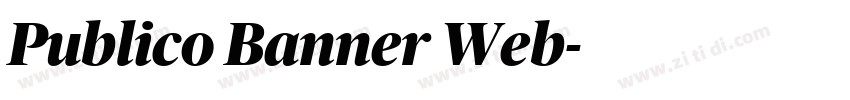 Publico Banner Web字体转换